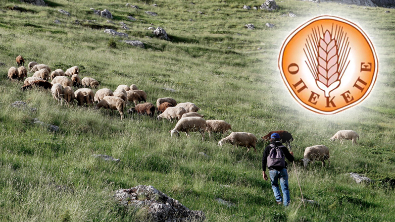 ardin-rixi.gr